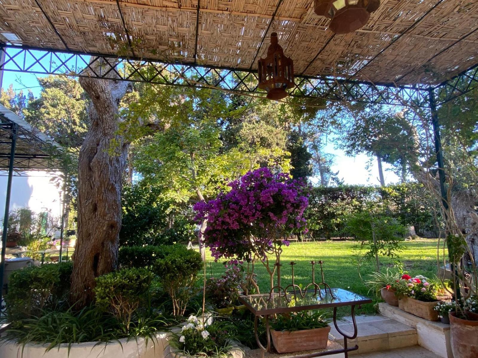 Tenuta Belvedere Otranto Ngoại thất bức ảnh