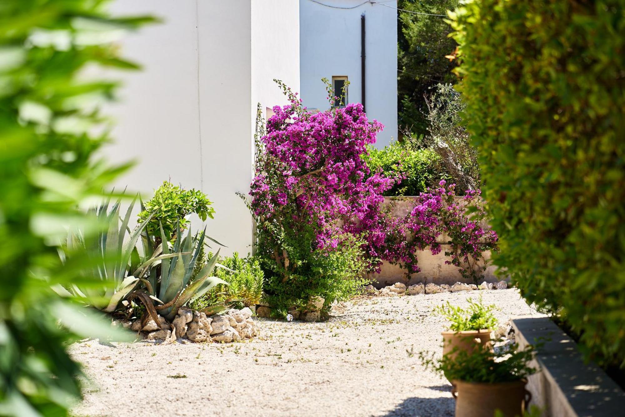 Tenuta Belvedere Otranto Ngoại thất bức ảnh