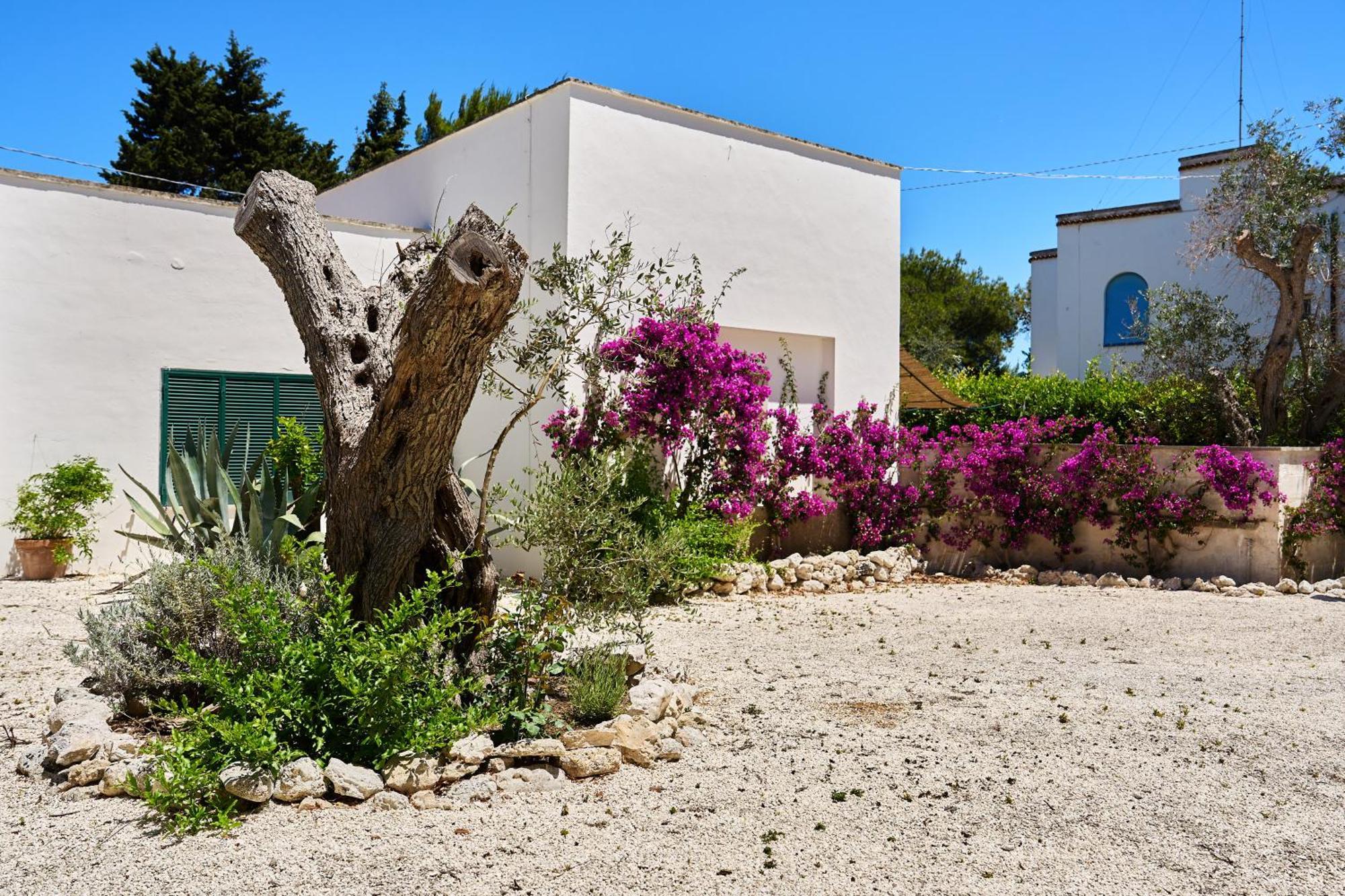 Tenuta Belvedere Otranto Ngoại thất bức ảnh